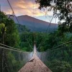 Situ Gunung Sukabumi: Pesona Alam yang Memikat di Selatan Jawa Barat